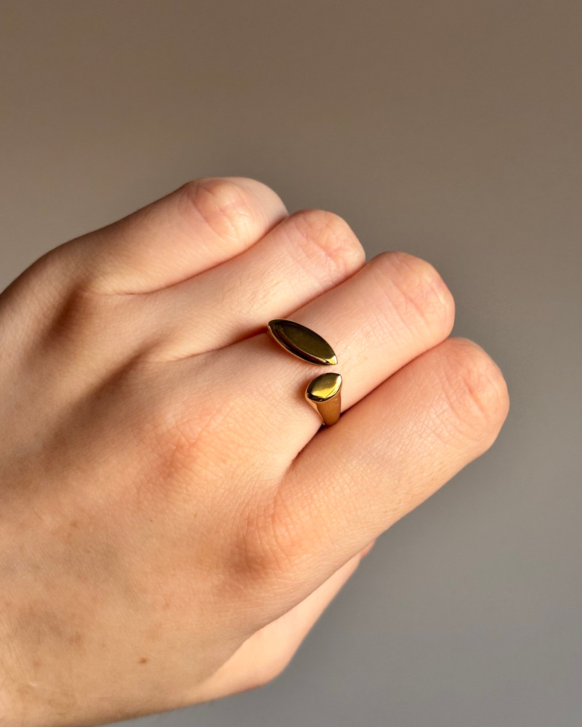 Anillo South