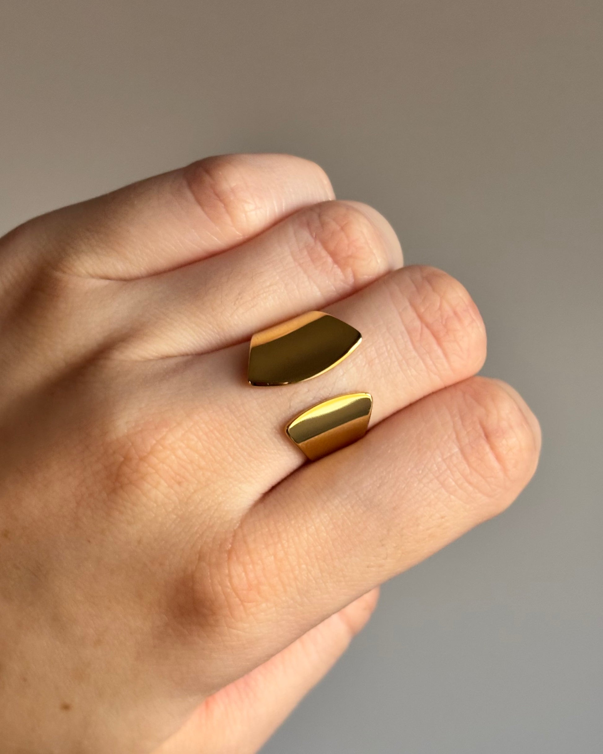 Anillo Double