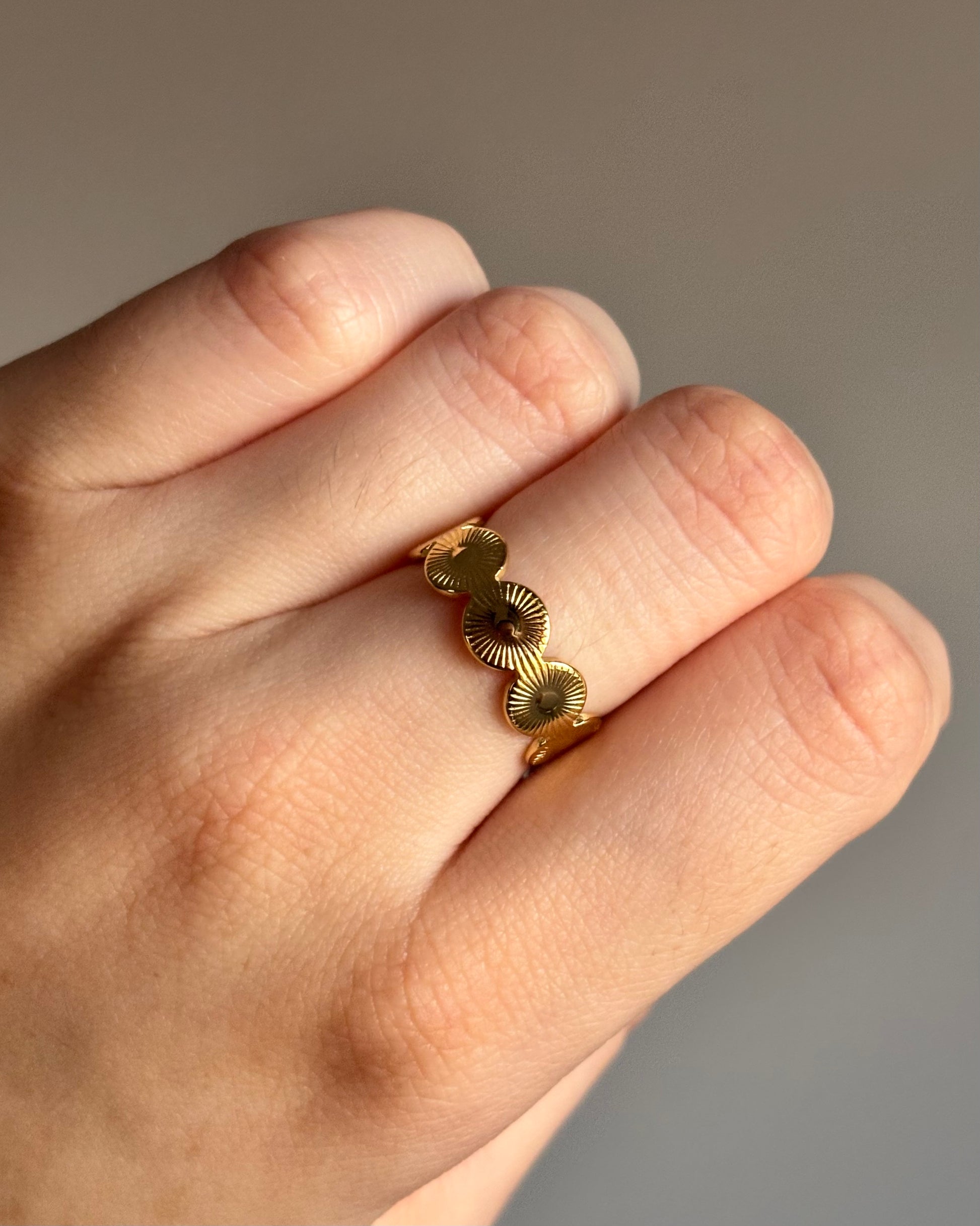 Anillo Money