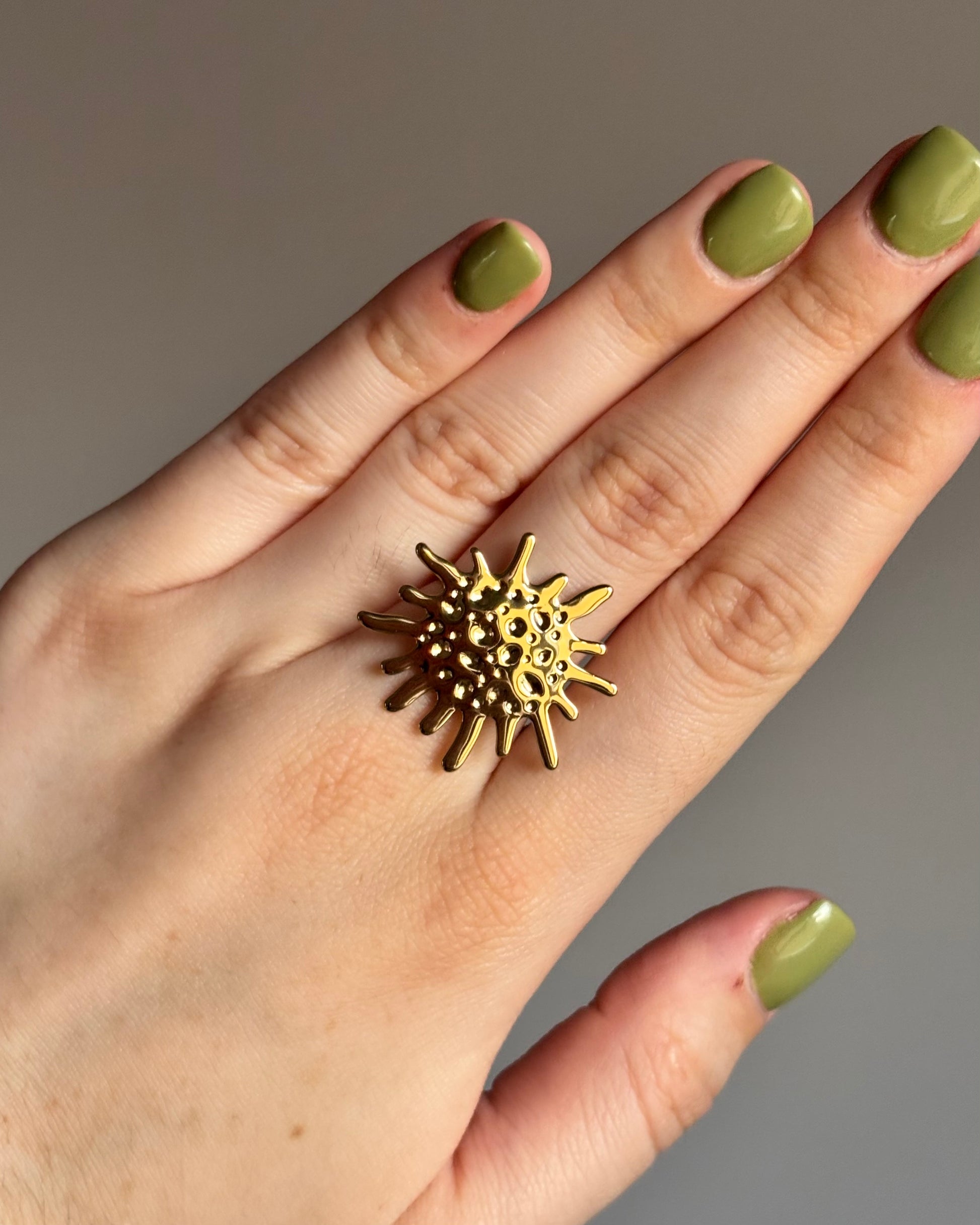 Anillo solei