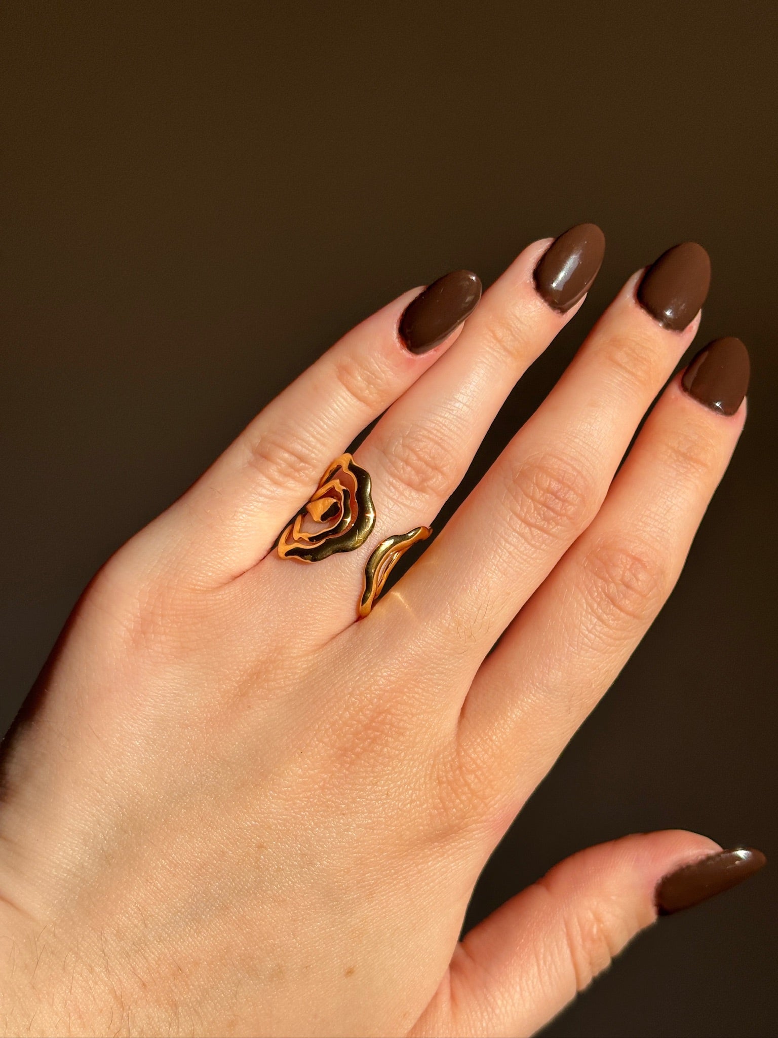 Anillo Boucle