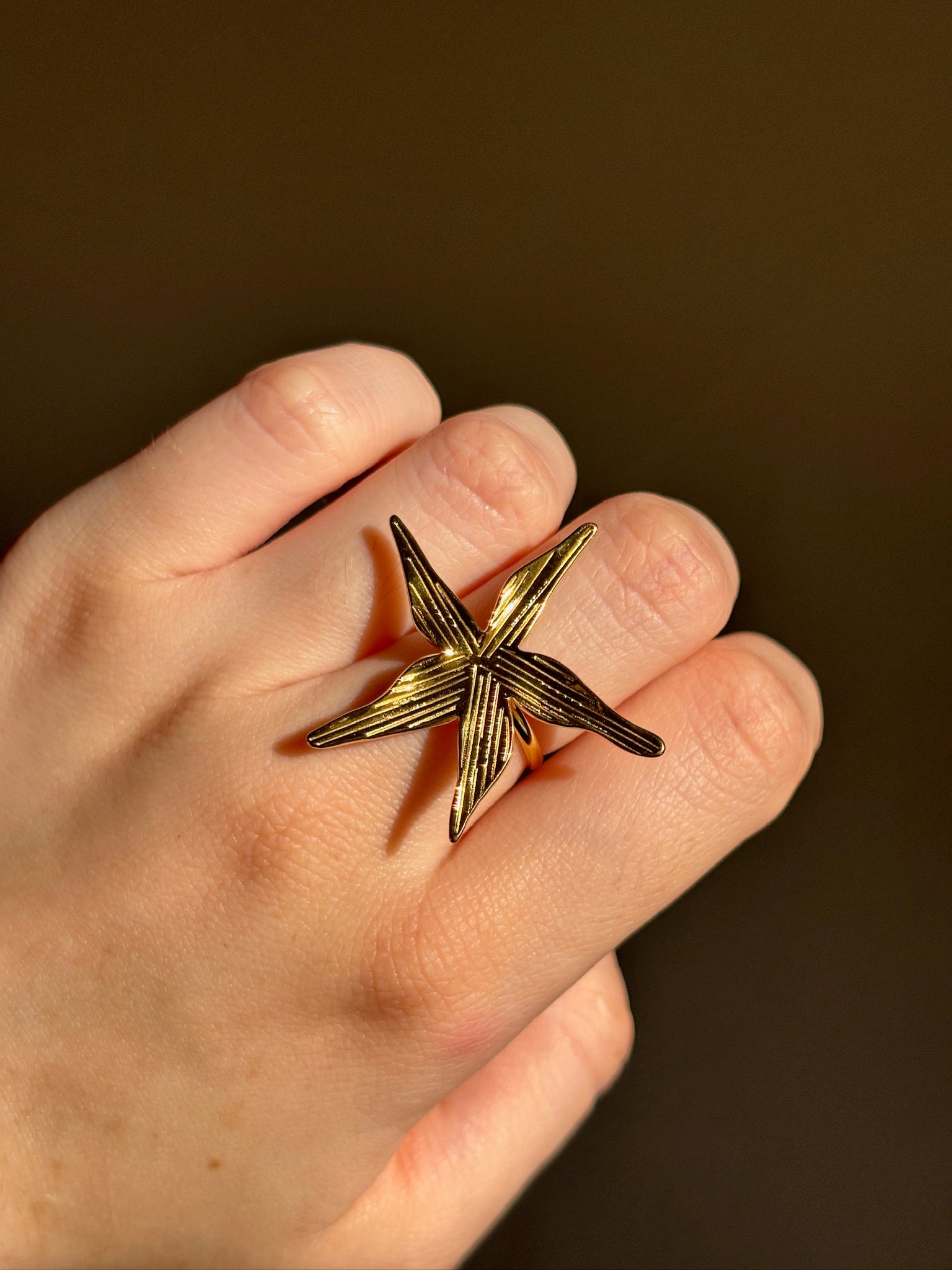 Anillo Marie