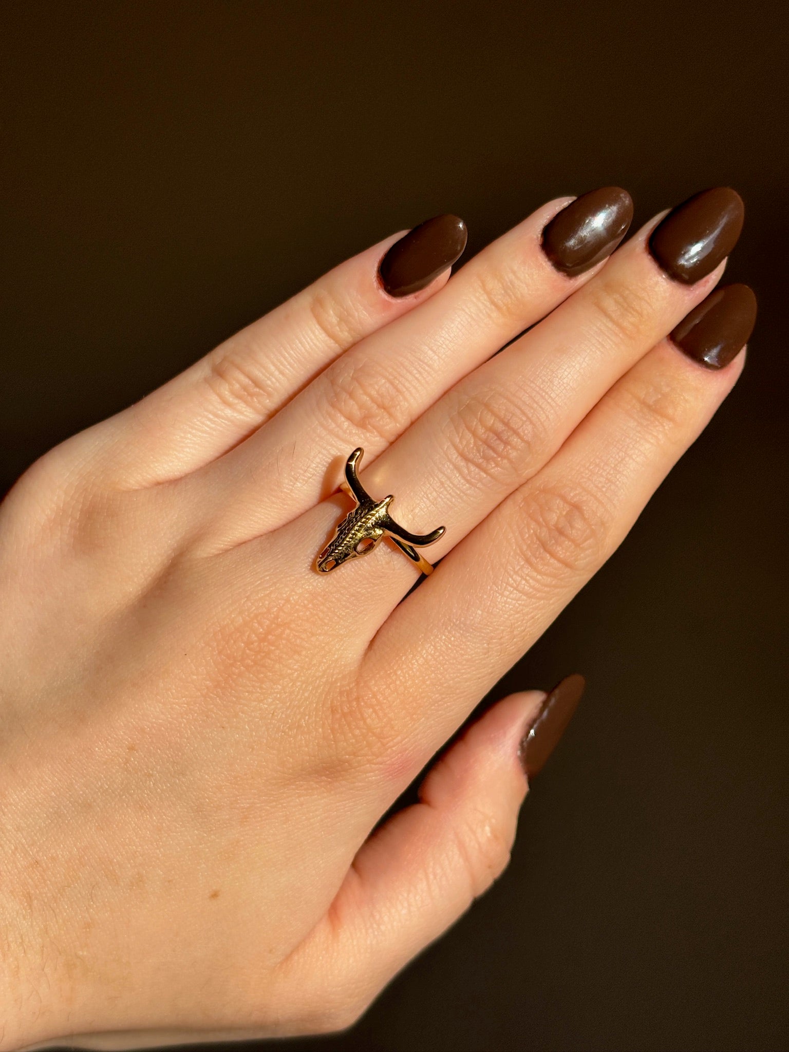 Anillo Bull