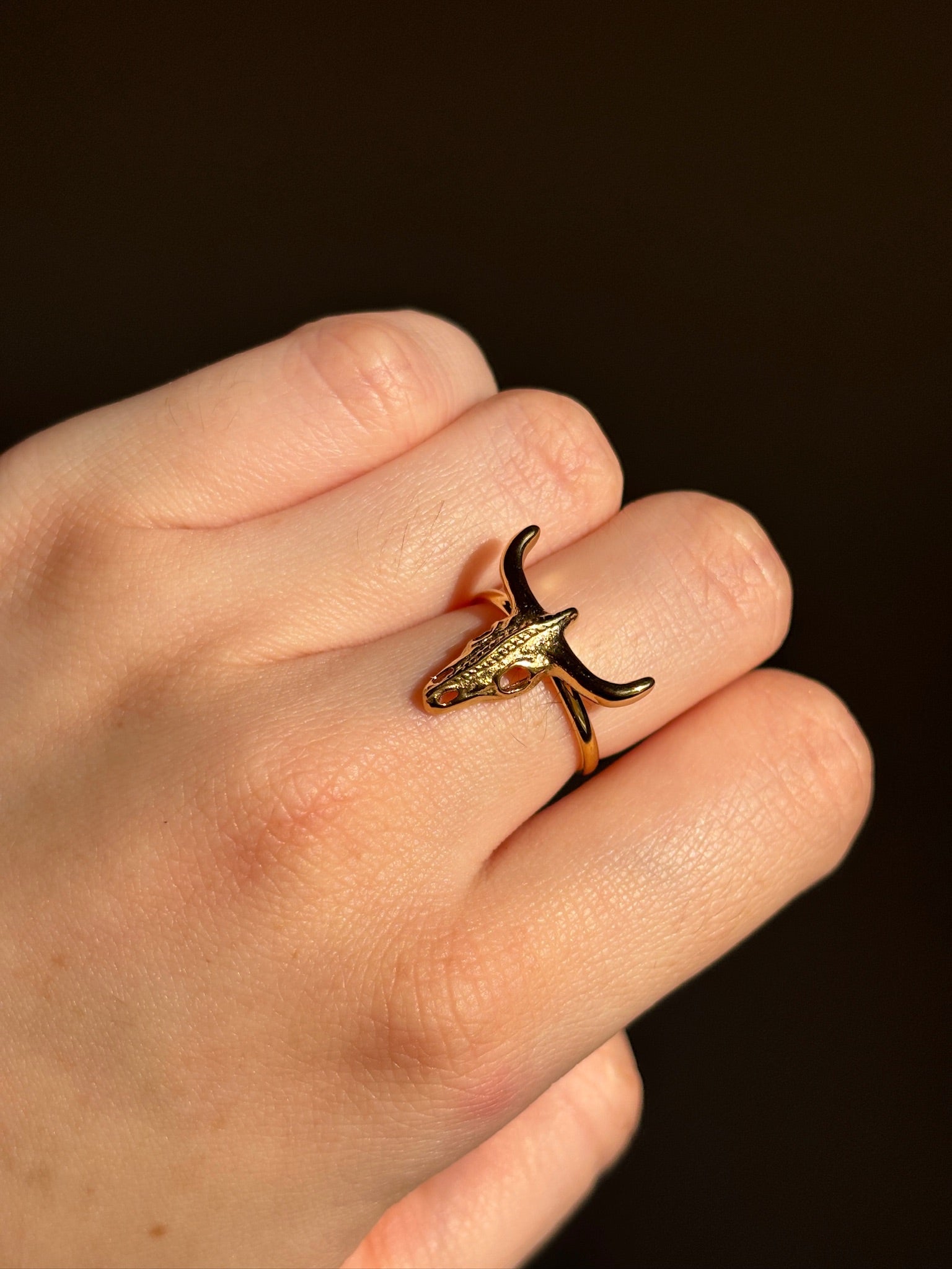 Anillo Bull