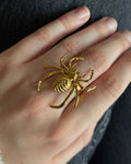 Anillo Spider