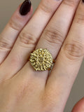 Anillo Ekani