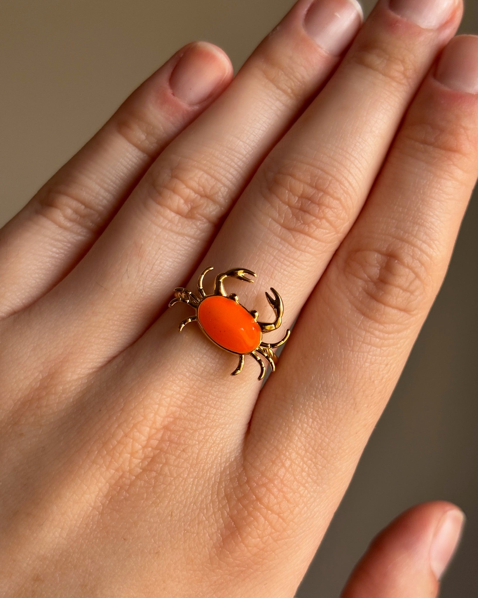 Anillo Seb
