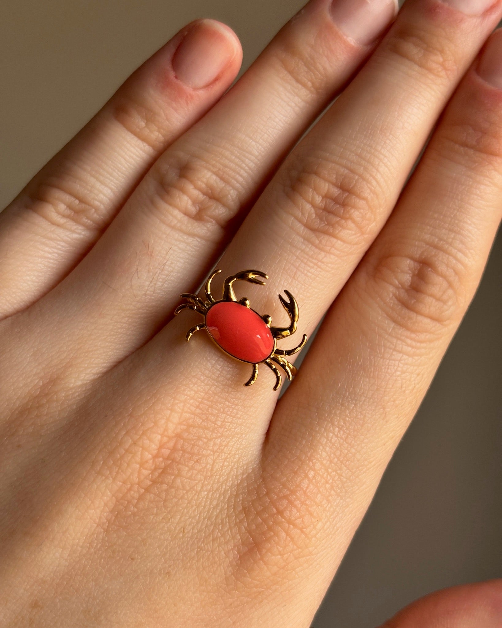 Anillo Seb