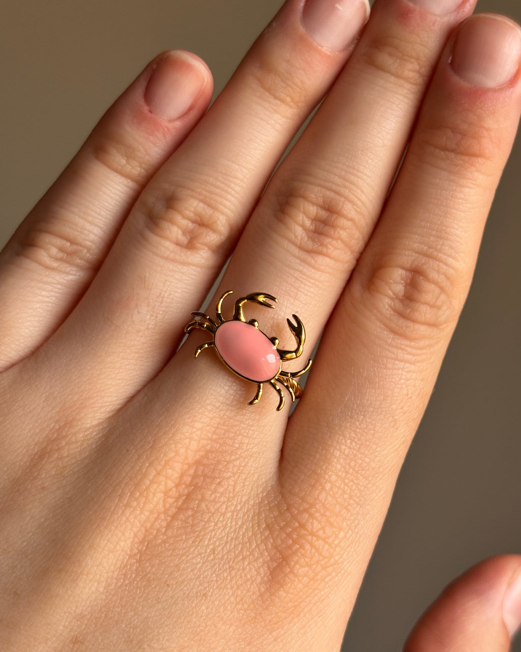 Anillo Seb