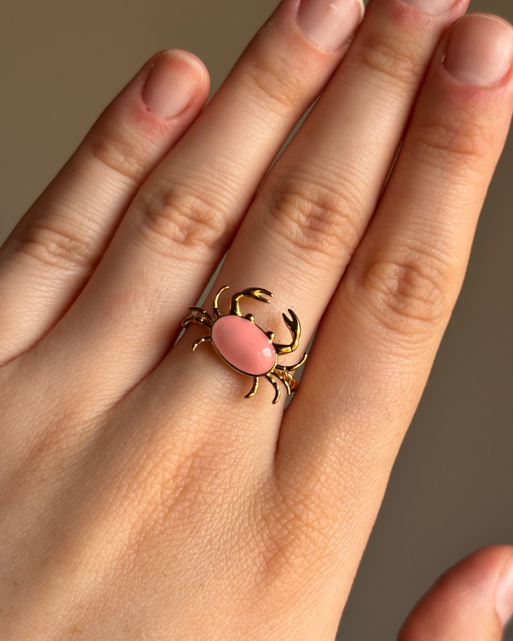 Anillo Seb