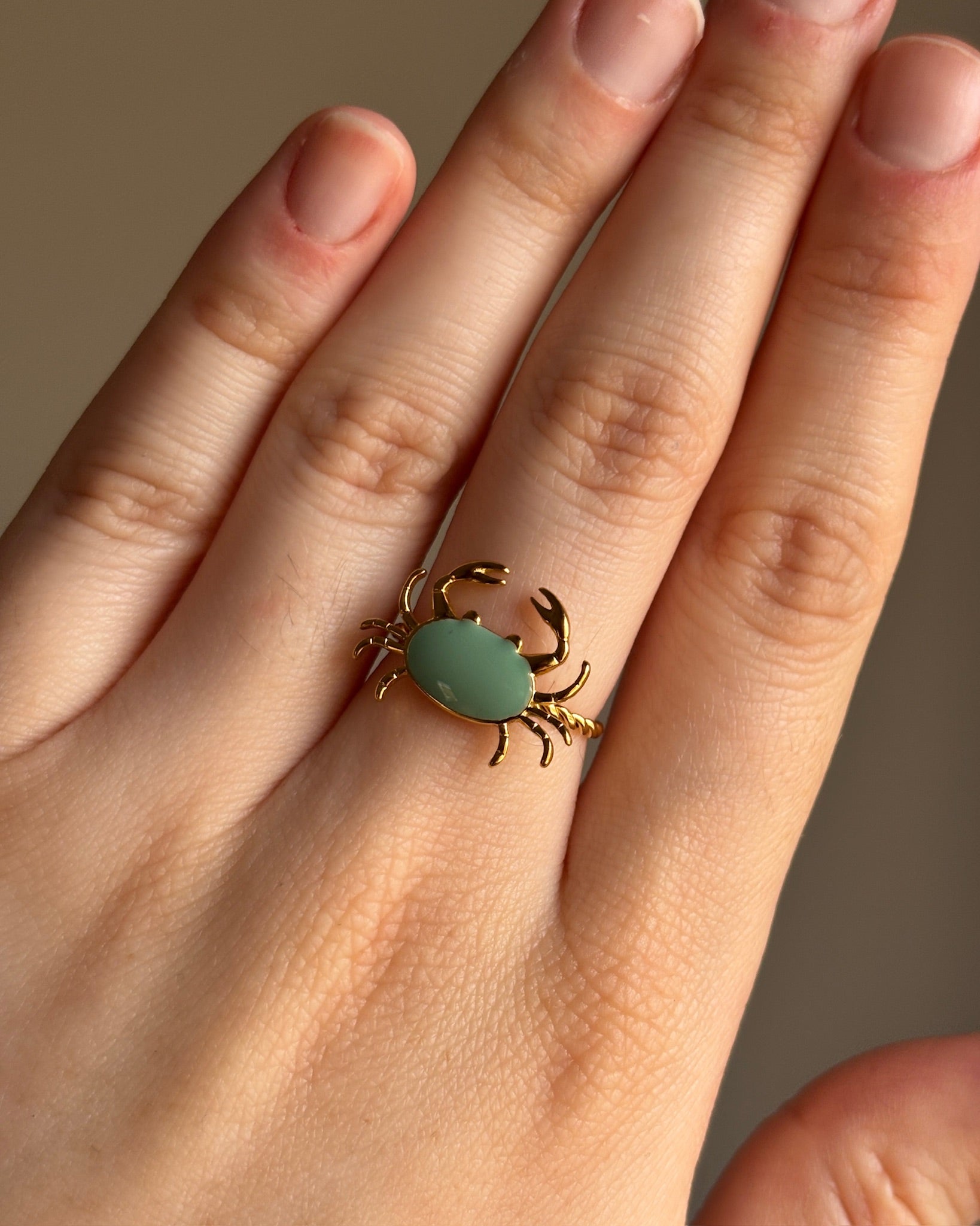 Anillo Seb