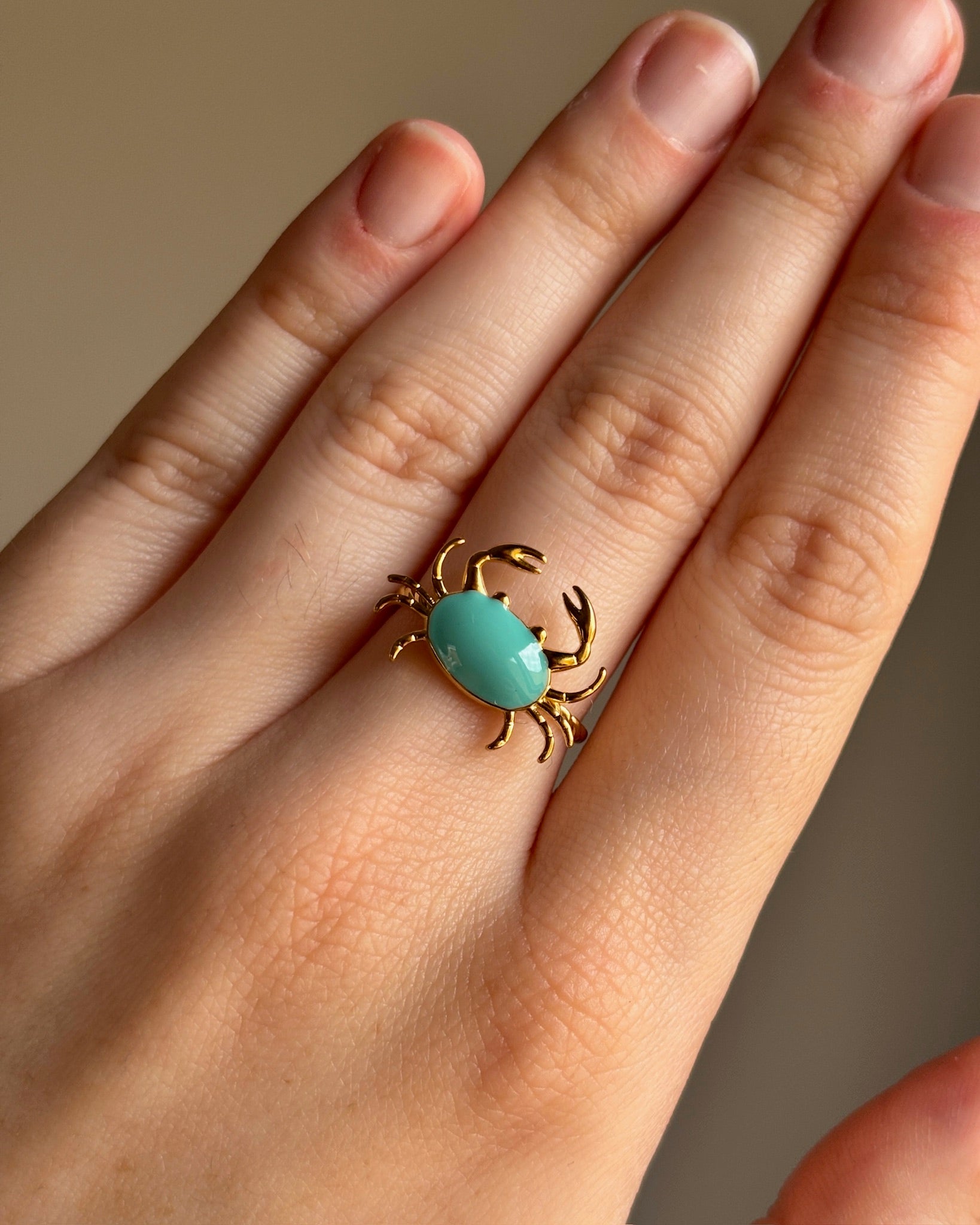 Anillo Seb