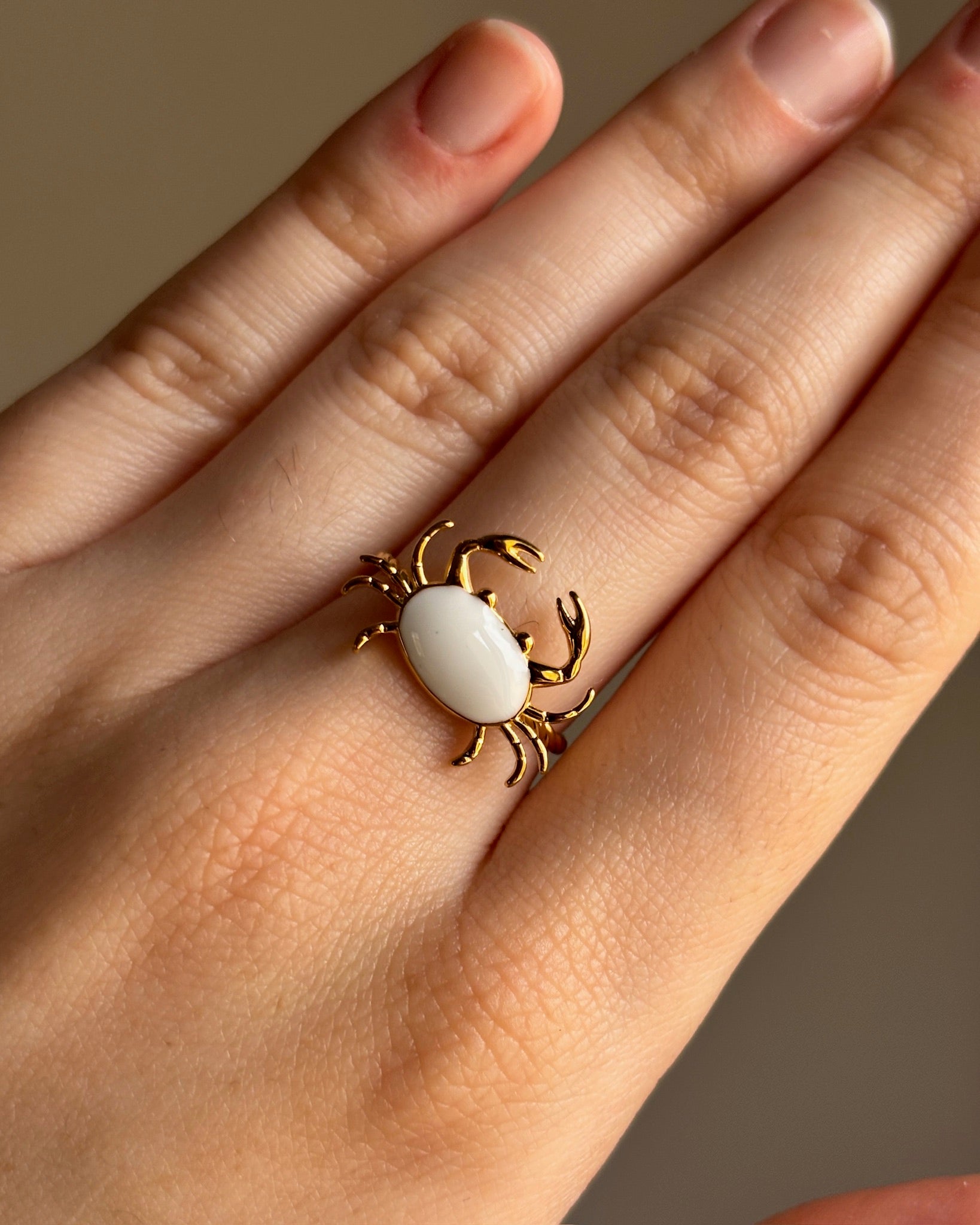 Anillo Seb