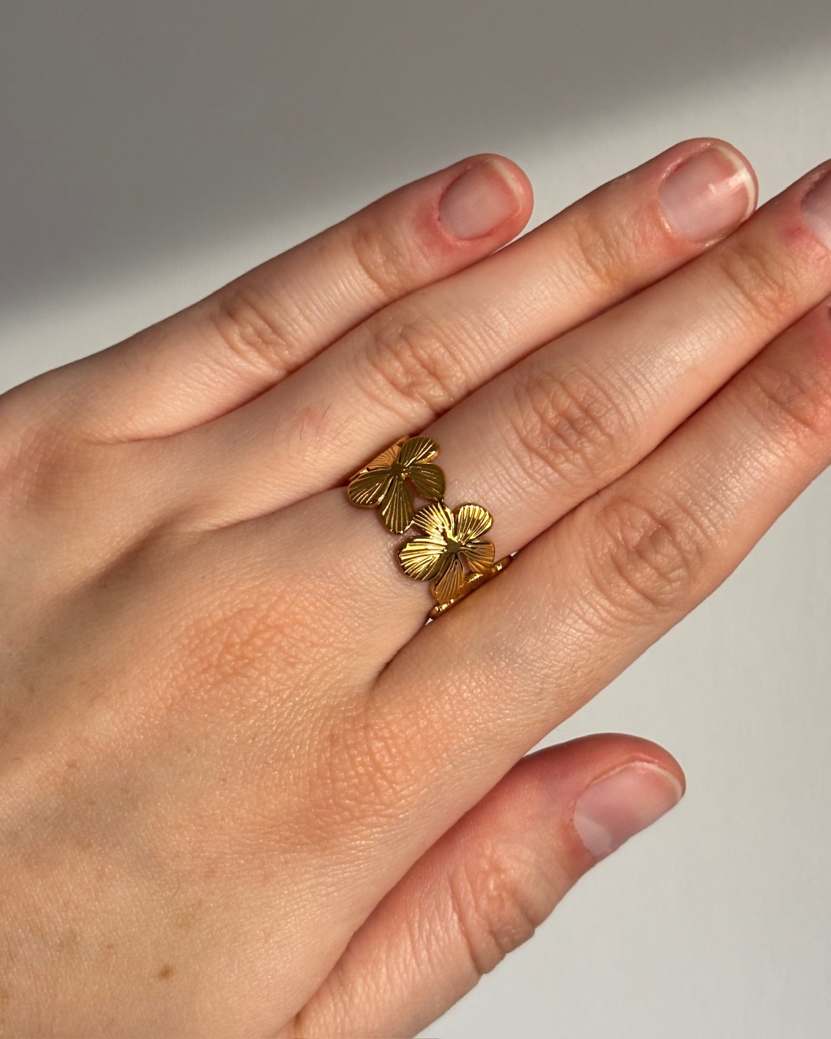 Anillo Aline