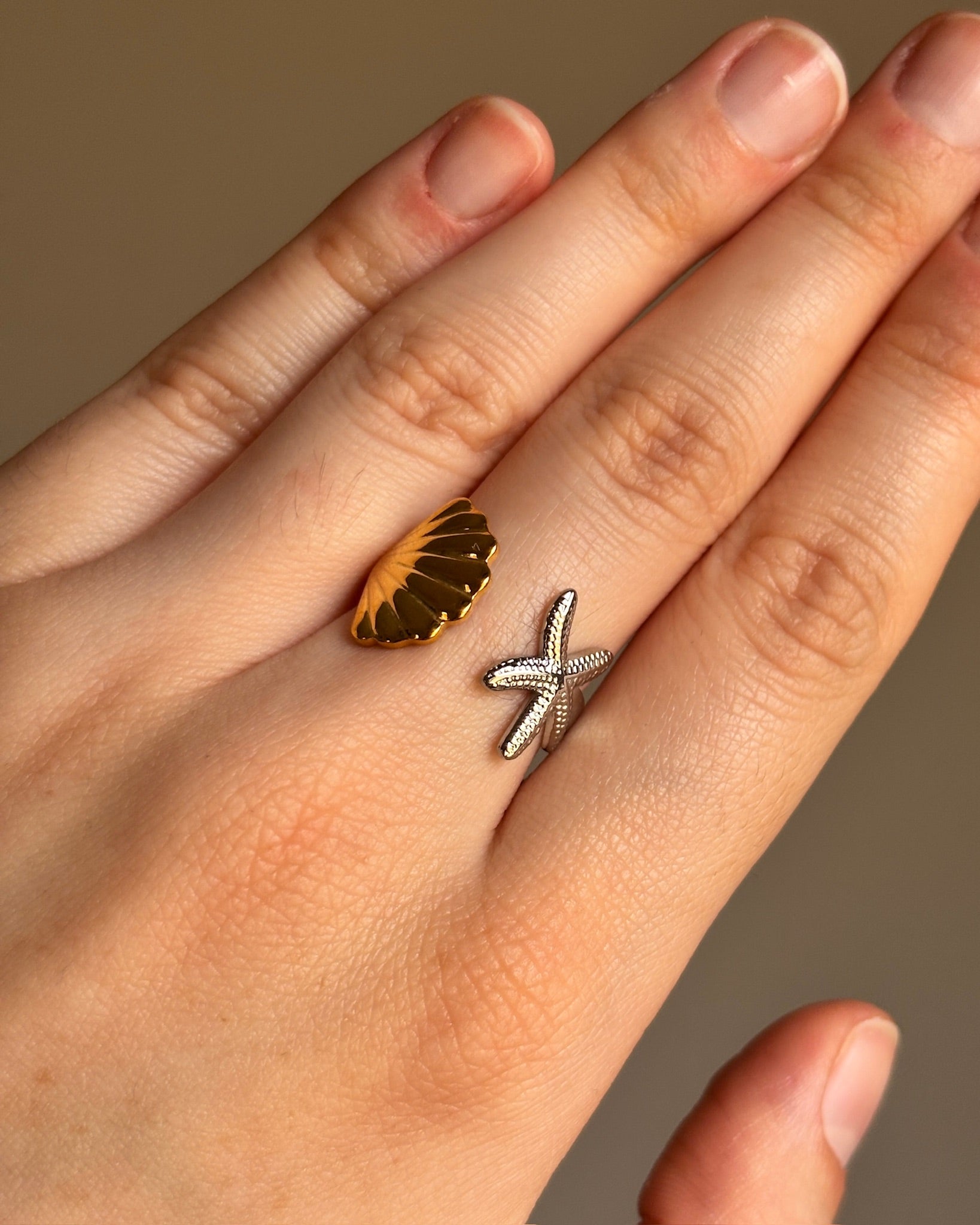 Anillo Ocean