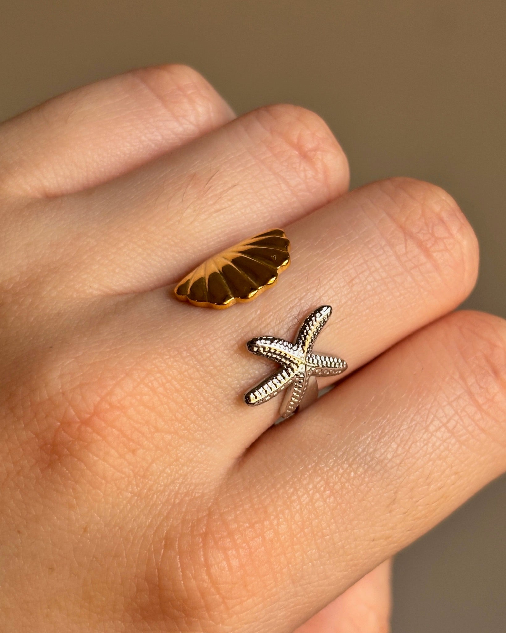 Anillo Ocean
