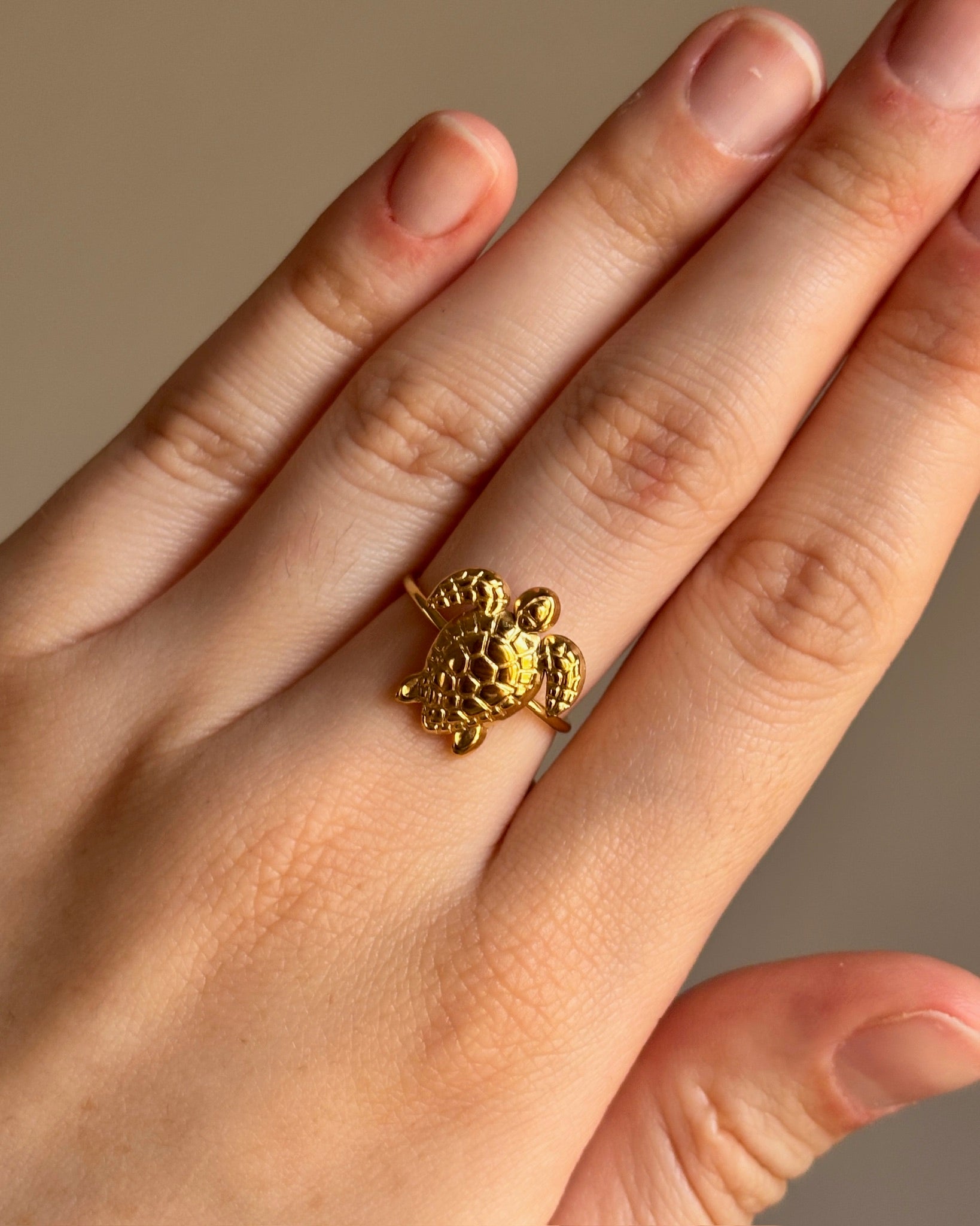 Anillo  Chelonia
