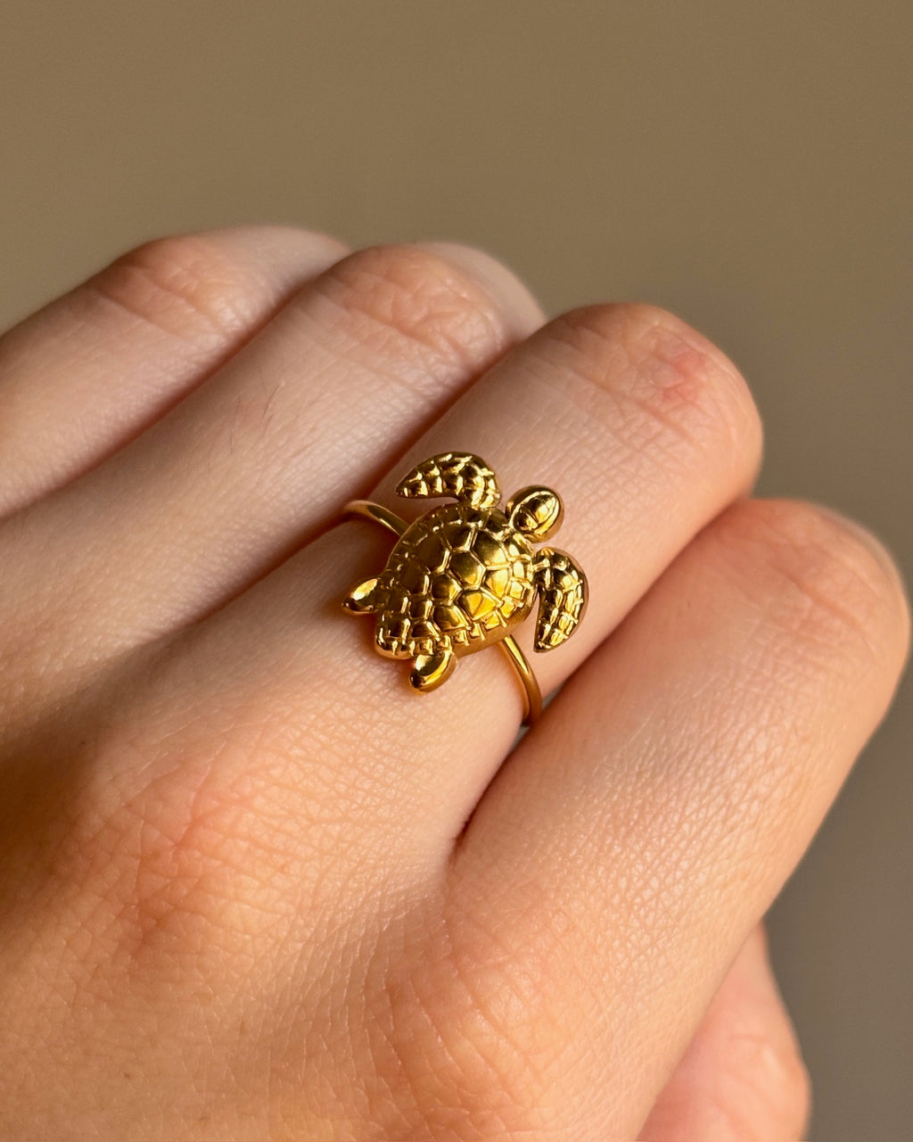 Anillo  Chelonia