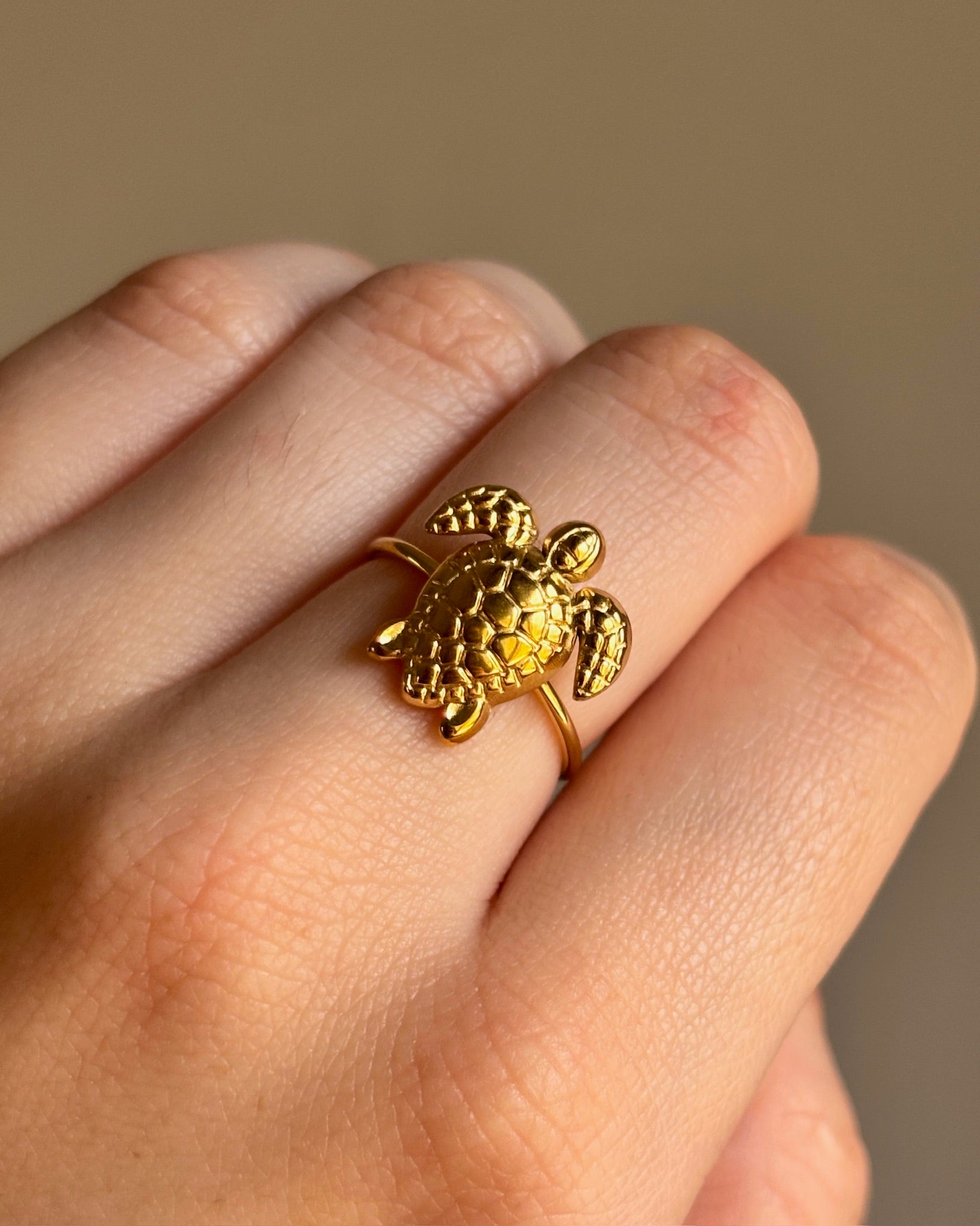Anillo  Chelonia