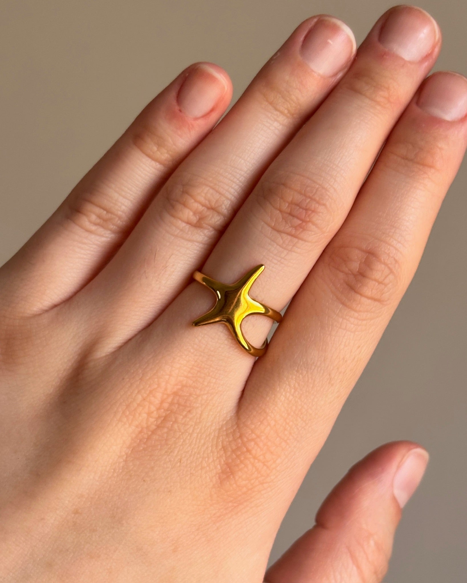 Anillo  Evadne liso