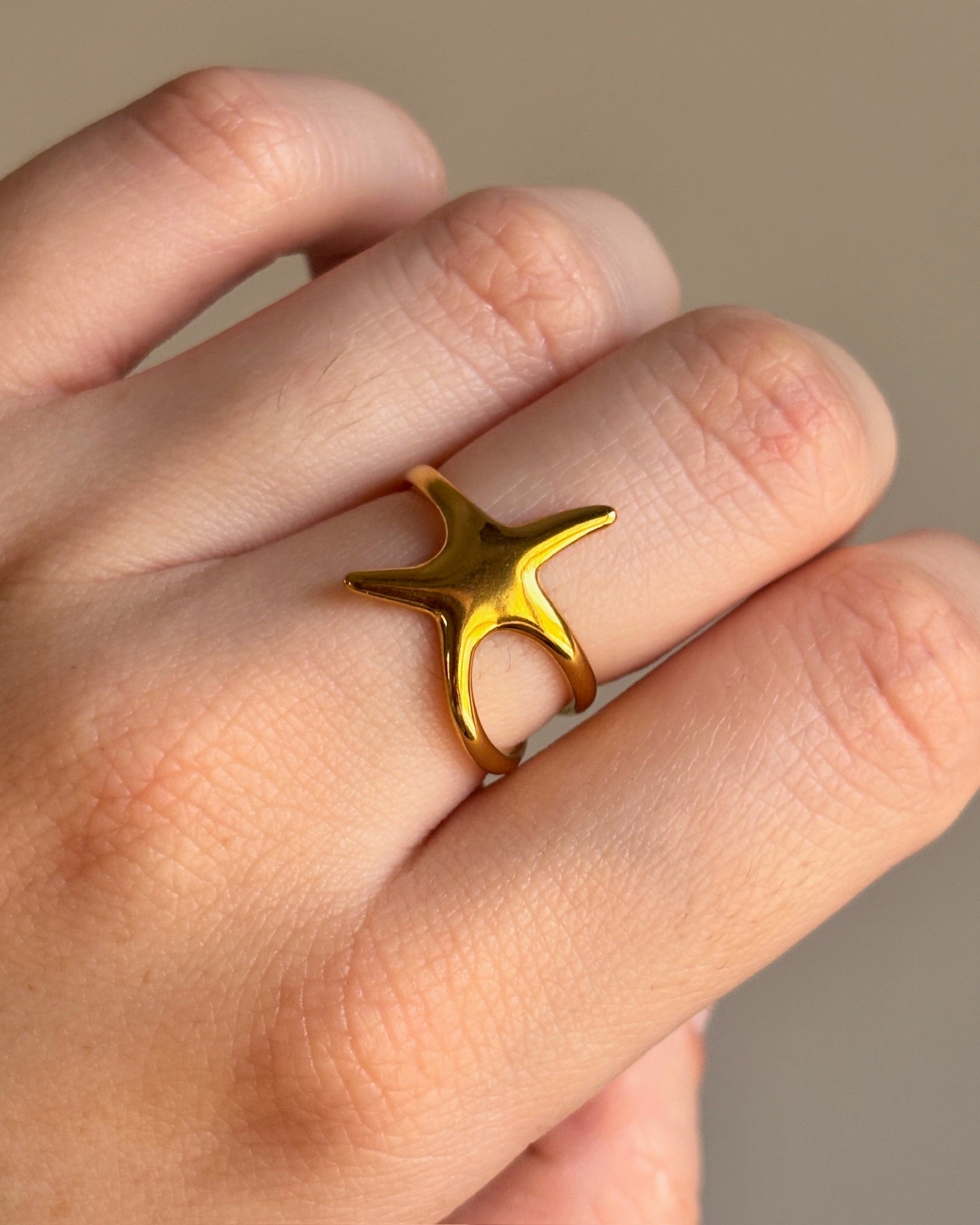 Anillo  Evadne liso