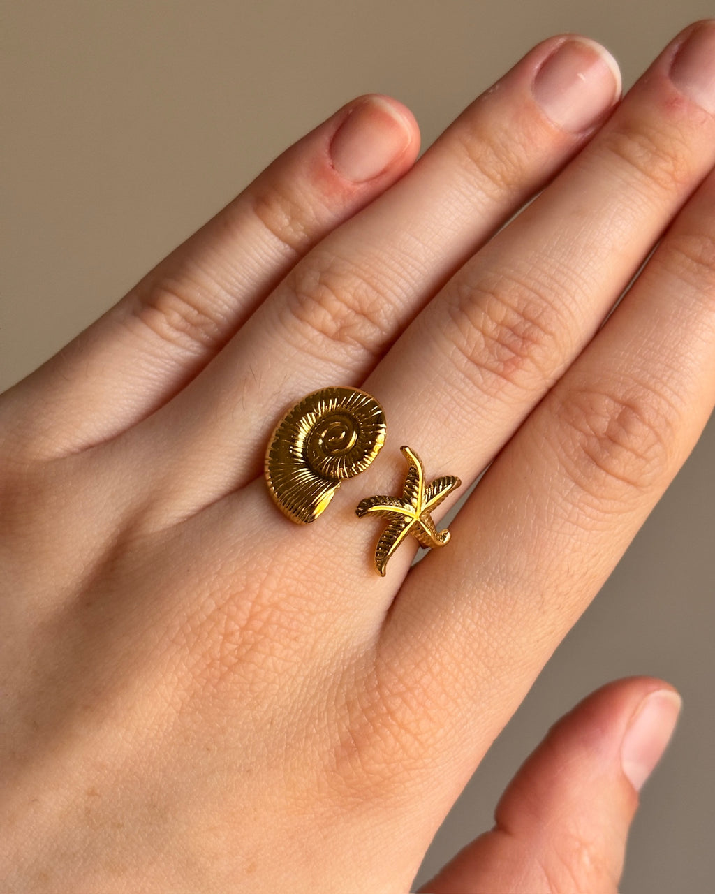 Anillo Daria