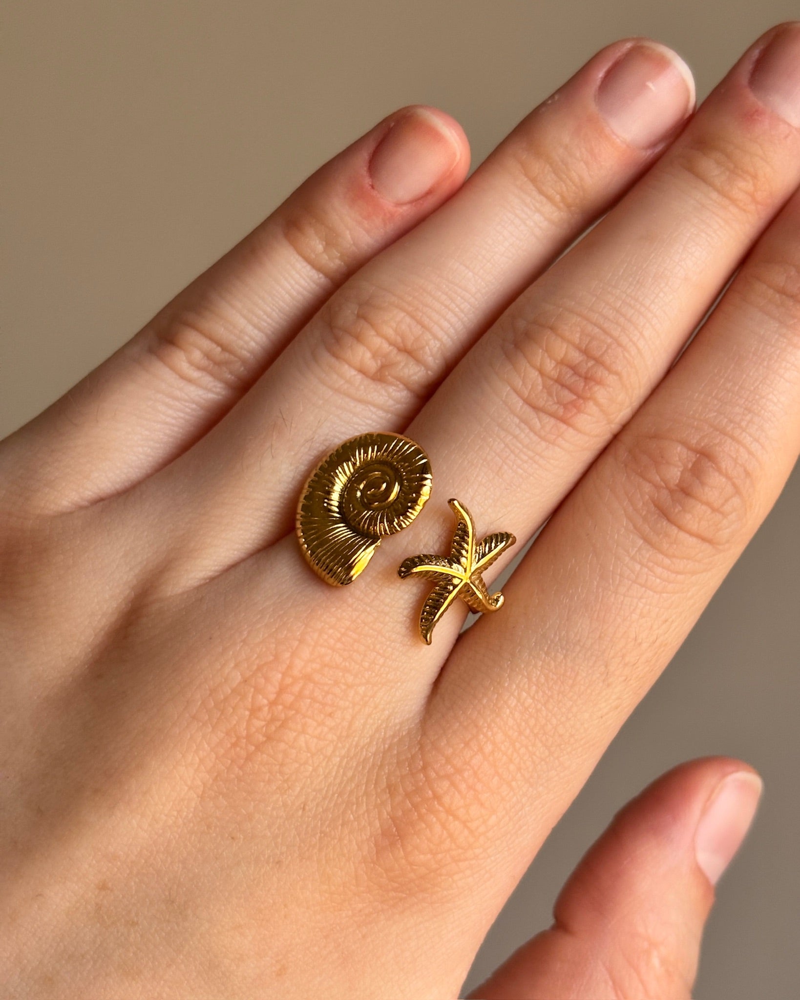 Anillo Daria