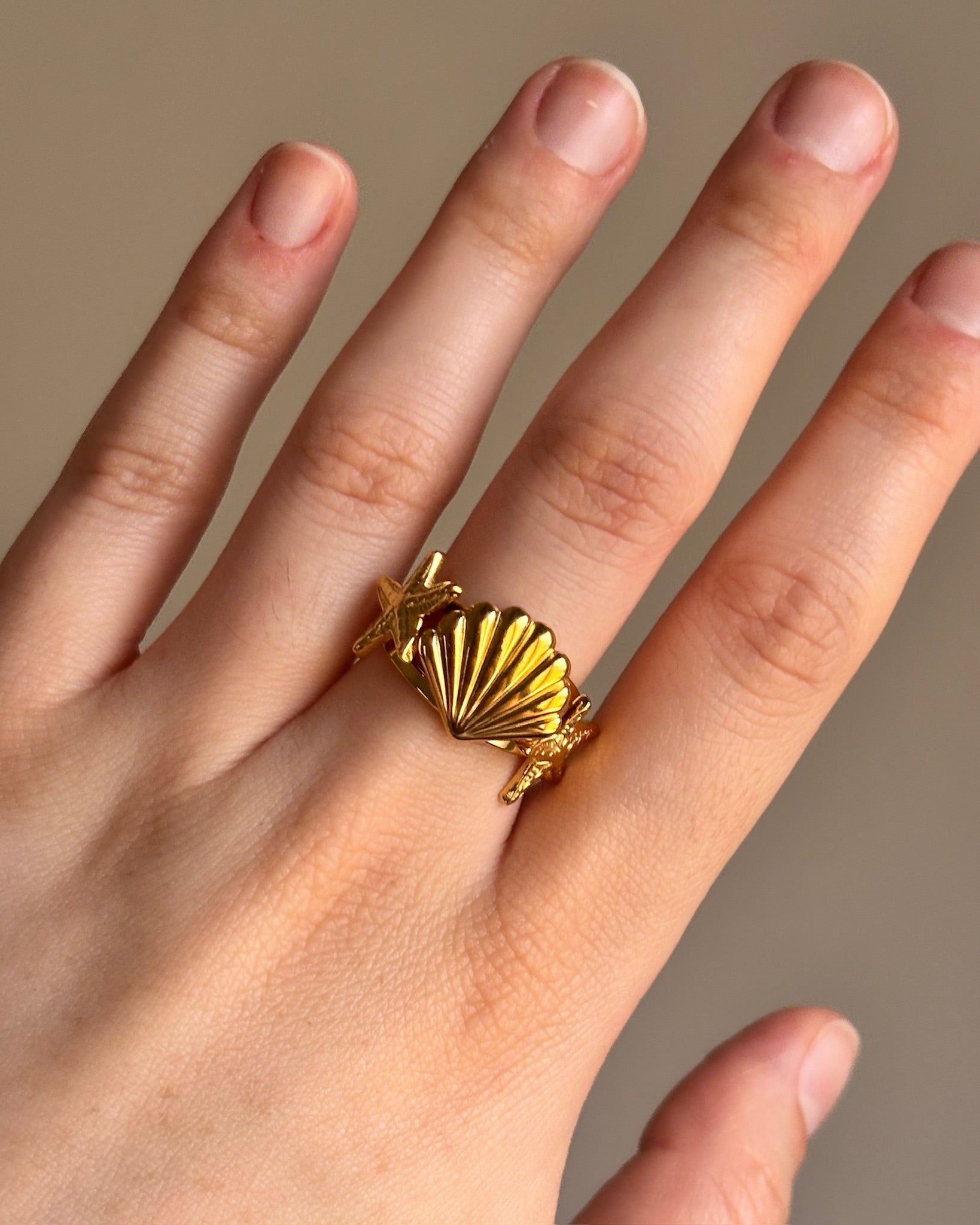 Anillo Saagar