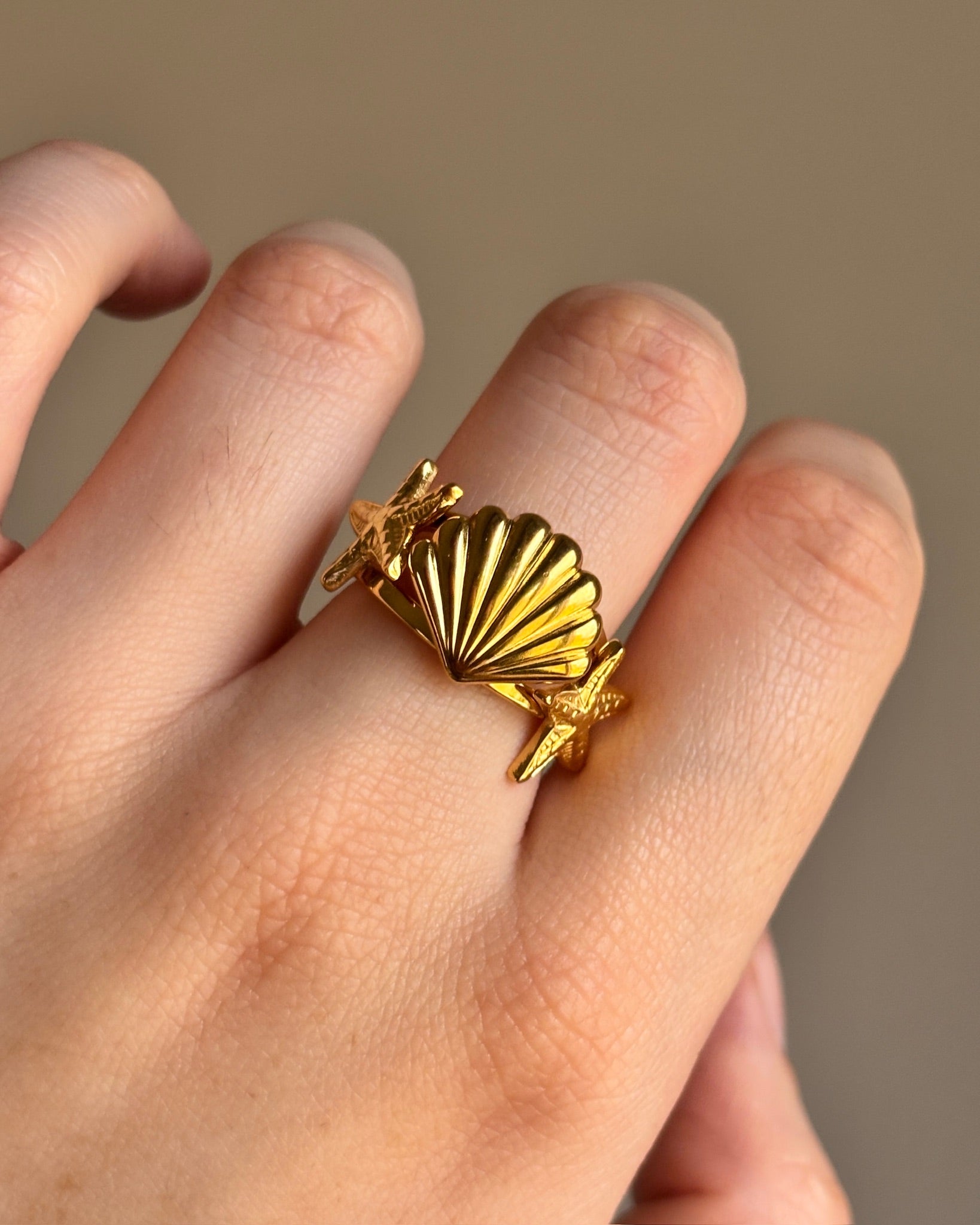 Anillo Saagar