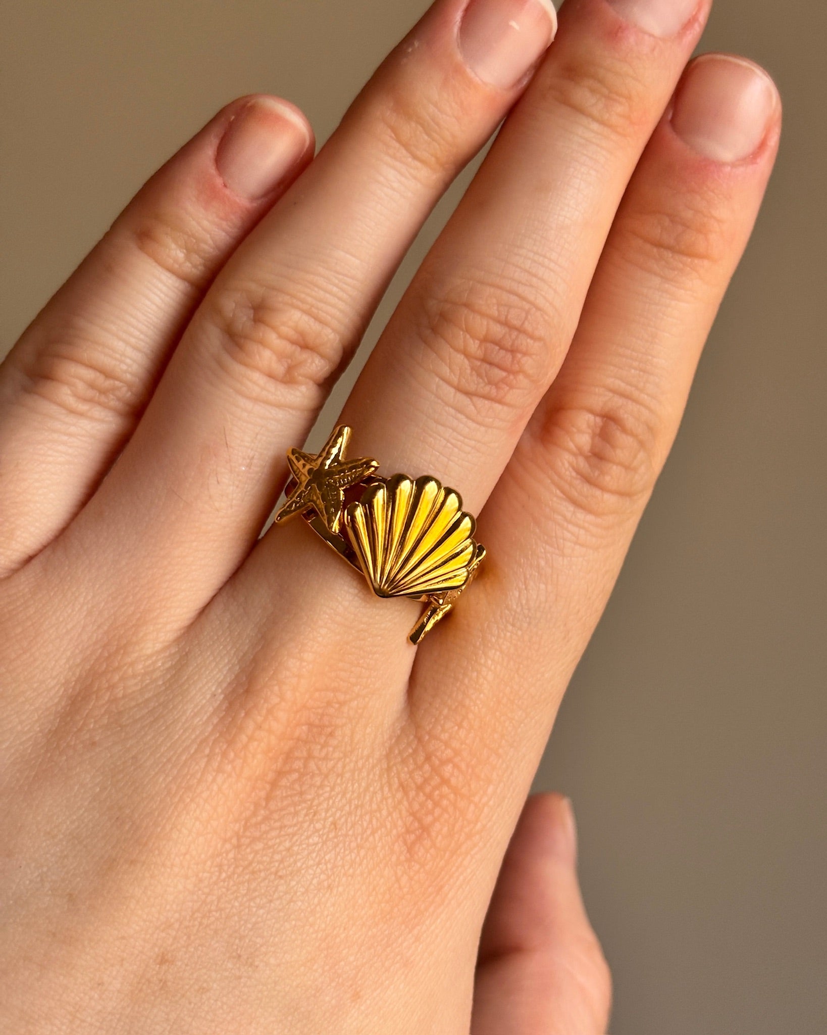 Anillo Saagar