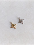 Charm estrella polar