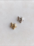 Charm estrella brillos
