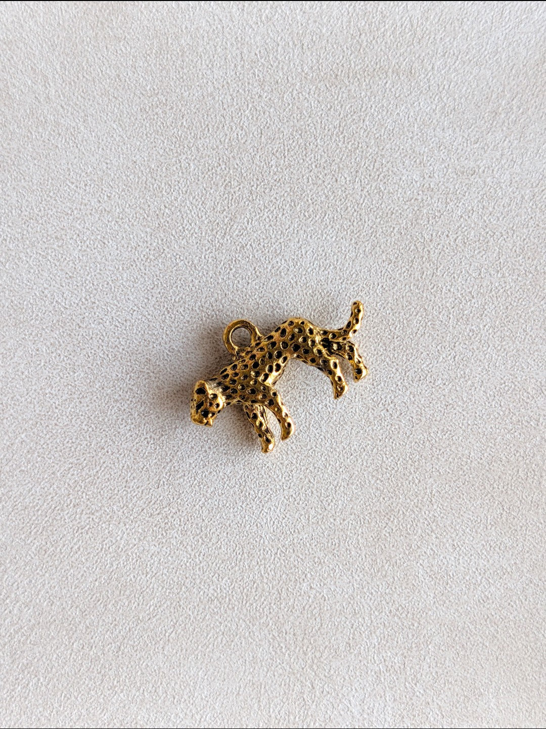 Charm Guepardo