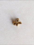 Charm Pegaso