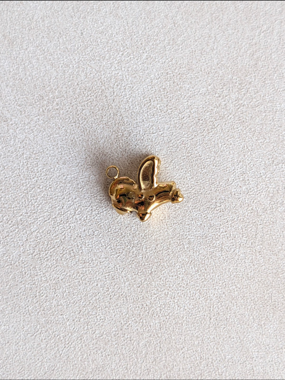 Charm Pegaso