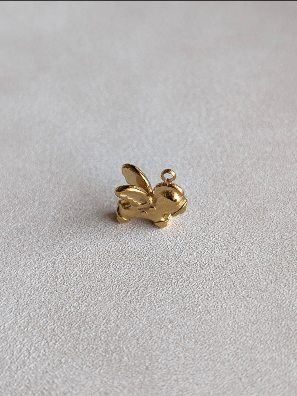 Charm Pegaso