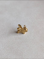 Charm Pegaso