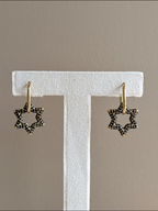 Pendientes Alina